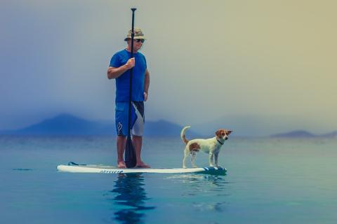 A man and a dog on a surfboard. The Thai for "a man and a dog on a surfboard" is "ผู้ชายและสุนัขบนกระดานโต้คลื่น".