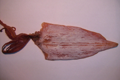 A dried squid. The Thai for "a dried squid" is "ปลาหมึกแห้งหนึ่งตัว".