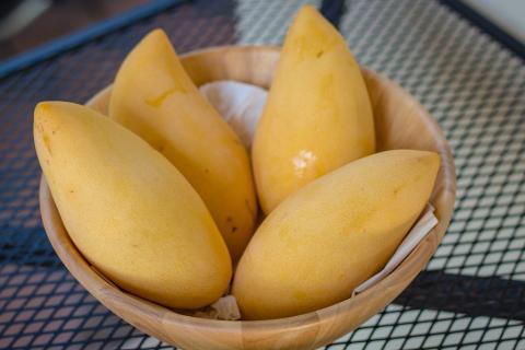 Four mangos in a wooden bowl. The Thai for "four mangos in a wooden bowl" is "มะม่วงสี่ลูกในชาม".