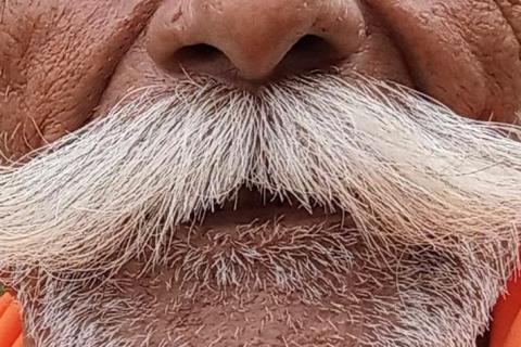 A white moustache. The Thai for "a white moustache" is "หนวดสีขาว". A white moustache. The Thai for "a white moustache" is "หนวดสีขาว".