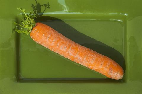 A carrot on the green plate. The Thai for "a carrot on the green plate" is "แครอทบนจานสีเขียว".