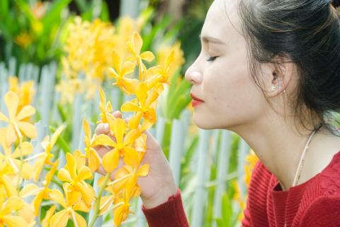 A woman and yellow orchids. The Thai for "a woman and yellow orchids" is "ผู้หญิงและดอกกล้วยไม้สีเหลือง".