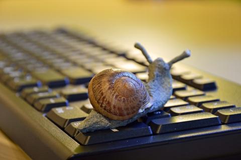 A snail on the keyboard. The Thai for "a snail on the keyboard" is "หอยทากบนแป้นพิมพ์".