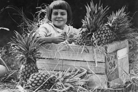 A girl in a pineapple crate. The Thai for "a girl in a pineapple crate" is "เด็กหญิงในลังสับปะรด".