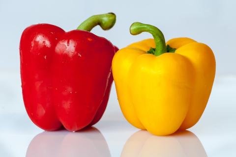 A red pepper and a yellow pepper. The Thai for "a red pepper and a yellow pepper" is "พริกหยวกสีแดงและพริกหยวกสีเหลือง".