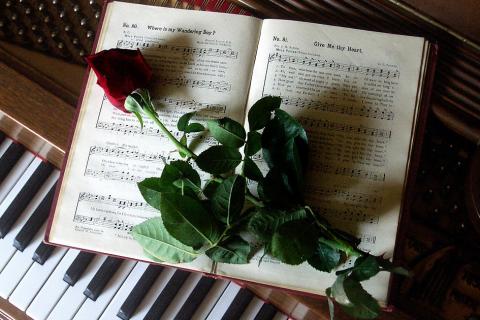 A rose on a music book. The Thai for "a rose on a music book" is "ดอกกุหลาบบนหนังสือเพลง". A rose on a music book. The Thai for "a rose on a music book" is "ดอกกุหลาบบนหนังสือเพลง".