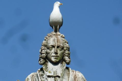 A seagull on a statue. The Thai for "a seagull on a statue" is "นกนางนวลบนรูปปั้น".