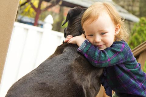 A girl hugs her dog. The Thai for "a girl hugs her dog" is "เด็กหญิงกอดสุนัขของเธอ".