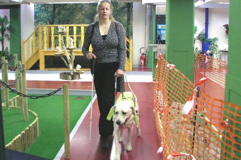 A blind woman with a guide dog. The Thai for "a blind woman with a guide dog" is "ผู้หญิงตาบอดกับสุนัขนำทาง".