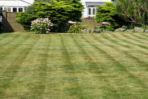 Lawn; grass. The Thai for "lawn; grass" is "สนามหญ้า".