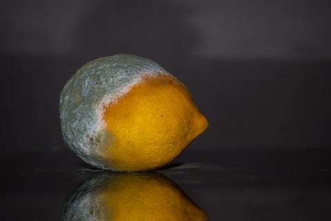 A rotten lemon. The Thai for "a rotten lemon" is "มะนาวเน่า".