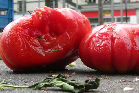 Two rotten tomatoes. The Thai for "two rotten tomatoes" is "มะเขือเทศเน่าสองลูก".
