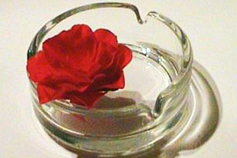 A red rose in an ashtray. The Thai for "a red rose in an ashtray" is "ดอกกุหลาบสีแดงในที่เขี่ยบุหรี่".