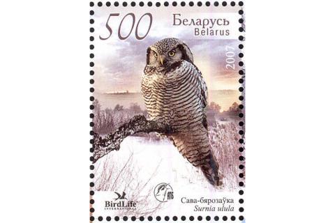 A picture of an owl on a stamp. The Thai for "a picture of an owl on a stamp" is "รูปนกฮูกบนแสตมป์".