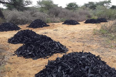 Many piles of charcoal. The Thai for "many piles of charcoal" is "ถ่านหลายกอง".