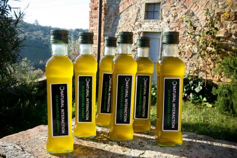 Six bottles of olive oil. The Thai for "six bottles of olive oil" is "น้ำมันมะกอกหกขวด". Six bottles of olive oil. The Thai for "six bottles of olive oil" is "น้ำมันมะกอกหกขวด".