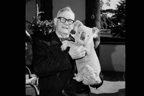 A man holding a koala. The Thai for "a man holding a koala" is "ผู้ชายอุ้มหมีโคอาลา".