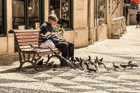 An old man on a bench and a flock of pigeons. The Thai for "an old man on a bench and a flock of pigeons" is "ชายชราบนม้านั่งและฝูงนกพิราบ".