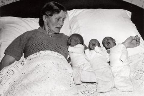 Baby triplets on mom’s arms. The Thai for "baby triplets on mom’s arms" is "ทารกแฝดสามบนแขนของแม่".