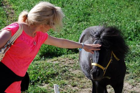 The woman is stroking the head of a black horse.. The Thai for "The woman is stroking the head of a black horse." is "ผู้หญิงลูบหัวม้าสีดำ".