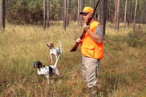 A hunter and two dogs. The Thai for "a hunter and two dogs" is "พรานและสุนัขสองตัว".