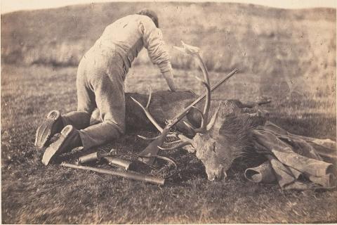 A hunter with a deer carcass. The Thai for "a hunter with a deer carcass" is "พรานกับซากกวาง".