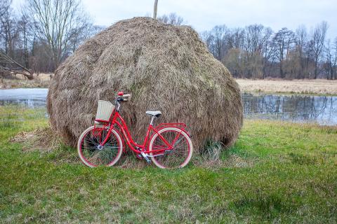 A red bicycle by a haystack. The Thai for "a red bicycle by a haystack" is "จักรยานสีแดงที่กองฟาง".