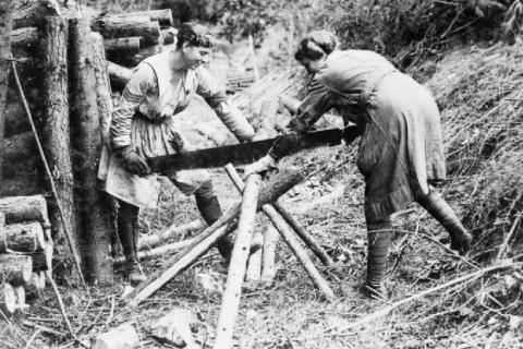 Two women sawing a log together. The Thai for "two women sawing a log together" is "ผู้หญิงสองคนเลื่อยไม้ด้วยกัน".