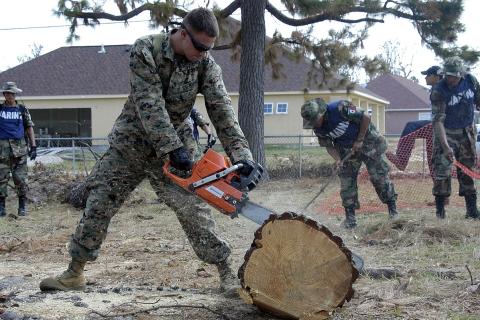 A soldier using a chainsaw to cut down a tree. The Thai for "a soldier using a chainsaw to cut down a tree" is "ทหารใช้เลื่อยยนต์ตัดต้นไม้".