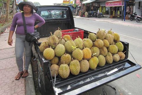 A vendor and  a pile of durians in a pickup truck. The Thai for "a vendor and  a pile of durians in a pickup truck" is "แม่ค้าและกองทุเรียนในรถปิ๊คอัพ".