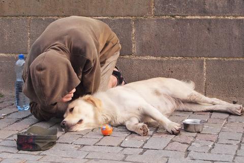 A beggar with his dog. The Thai for "a beggar with his dog" is "ขอทานกับสุนัขของเขา".