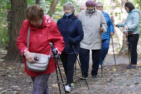 Hiking for the elderly. The Thai for "hiking for the elderly" is "การเดินป่าของผู้สูงอายุ".