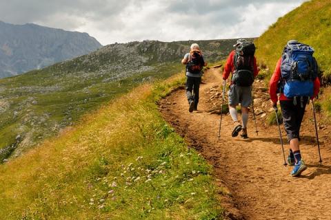 Hiker. The Thai for "hiker" is "นักเดินป่า".