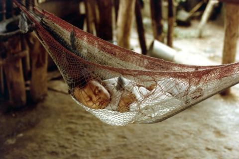 A baby sleeping in a hammock. The Thai for "a baby sleeping in a hammock" is "ทารกนอนหลับในเปล".