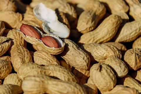 Peanut. The Thai for "peanut" is "ลิสง". Peanut. The Thai for "peanut" is "ลิสง".