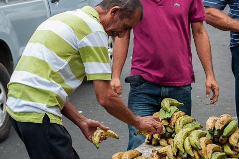 An old man buying bananas. The Thai for "an old man buying bananas" is "ชายชราซื้อกล้วย".