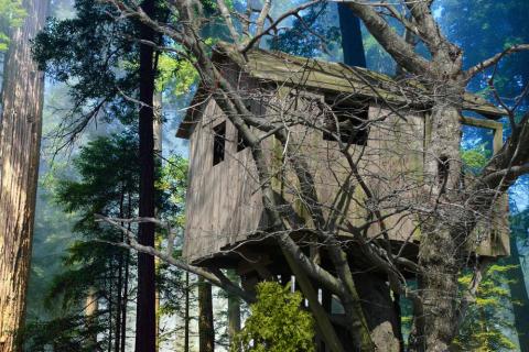 Tree house. The Thai for "tree house" is "บ้านต้นไม้".