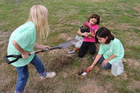 Children planting a tree. The Thai for "children planting a tree" is "เด็กๆกำลังปลูกต้นไม้". Children planting a tree. The Thai for "children planting a tree" is "เด็กๆกำลังปลูกต้นไม้".