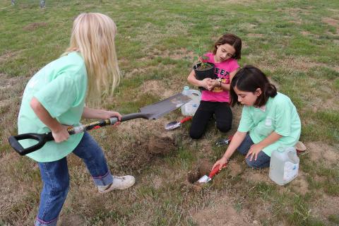 Children planting a tree. The Thai for "children planting a tree" is "เด็กๆกำลังปลูกต้นไม้".