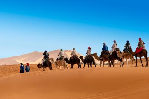 A caravan in the desert. The Thai for "a caravan in the desert" is "คาราวานในทะเลทราย".