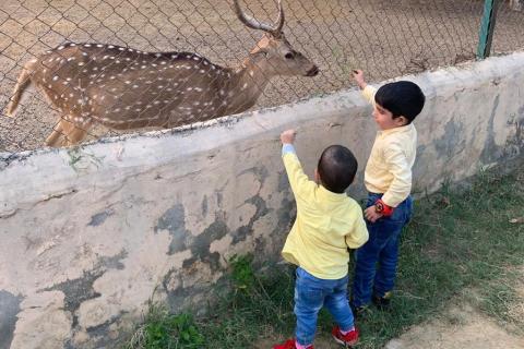 Two boys and a deer at the zoo. The Thai for "two boys and a deer at the zoo" is "เด็กผู้ชายสองคนและกวางที่สวนสัตว์".