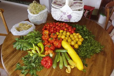 Many vegetables on a round table. The Thai for "many vegetables on a round table" is "ผักหลายอย่างบนโต๊ะกลม".