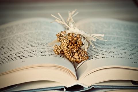 Dried flowers on a book. The Thai for "dried flowers on a book" is "ดอกไม้แห้งบนหนังสือ".