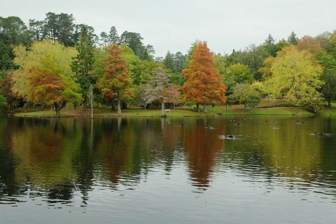 There are many trees around the lake.. The Thai for "There are many trees around the lake." is "มีต้นไม้มากมายรอบทะเลสาบ".