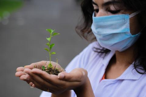 A seedling in her hands. The Thai for "a seedling in her hands" is "ต้นอ่อนในมือเธอ".
