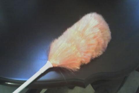 A feather duster. The Thai for "a feather duster" is "ไม้ปัดฝุ่น".