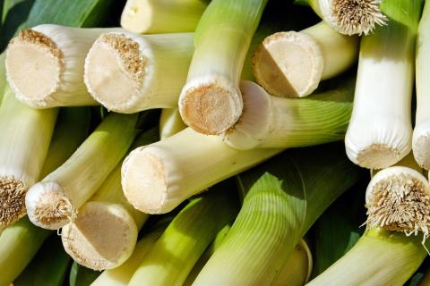 Leek. The Thai for "leek" is "ต้นหอมญี่ปุ่น". Leek. The Thai for "leek" is "ต้นหอมญี่ปุ่น".