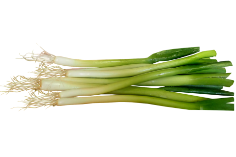 Spring onion. The Thai for "spring onion" is "ต้นหอม". Spring onion. The Thai for "spring onion" is "ต้นหอม".