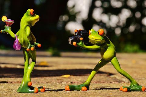 Frogs. The Ukrainian for "frogs" is "жаби".